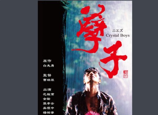 请问大家有谁知道就是范植伟主演的那部同志片《孽子》最后的阿青是怎样了?