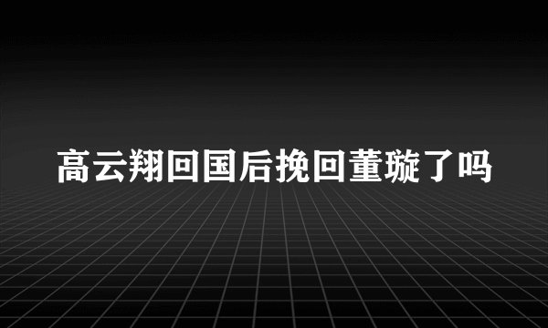 高云翔回国后挽回董璇了吗