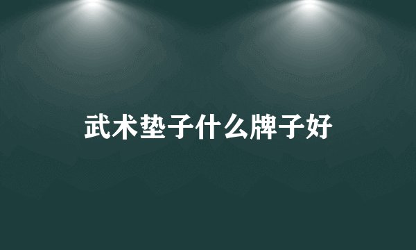 武术垫子什么牌子好