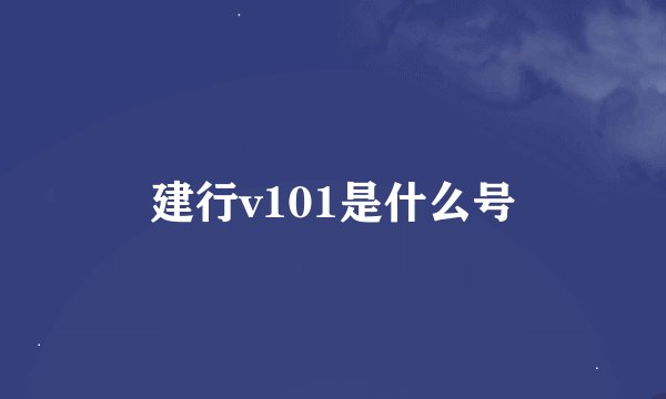 建行v101是什么号