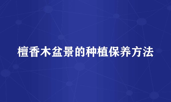 檀香木盆景的种植保养方法