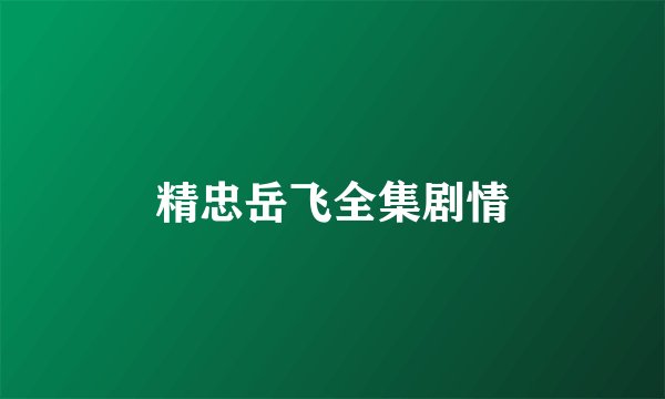 精忠岳飞全集剧情