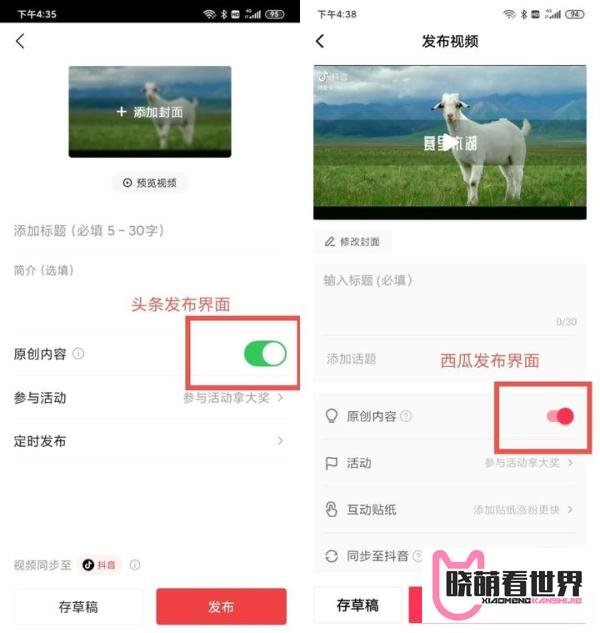 新手加入中视频伙伴计划,一天收益800+,完整攻略给大家!