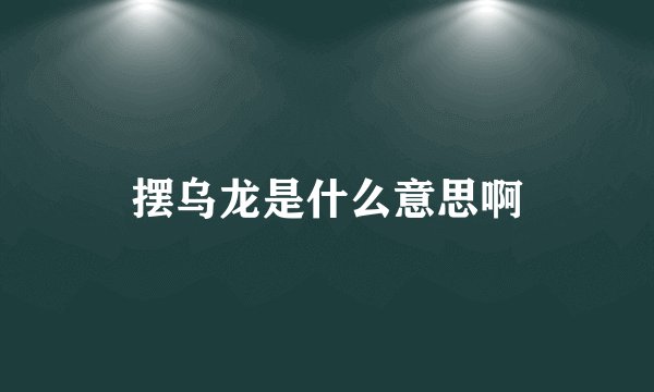 摆乌龙是什么意思啊