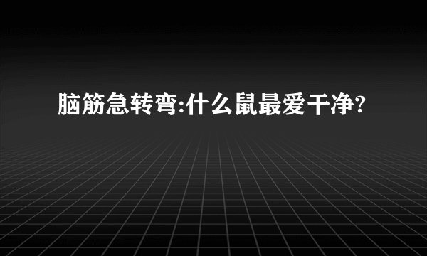 脑筋急转弯:什么鼠最爱干净?