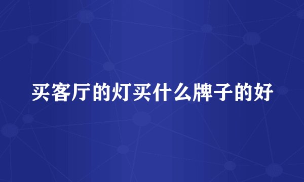 买客厅的灯买什么牌子的好
