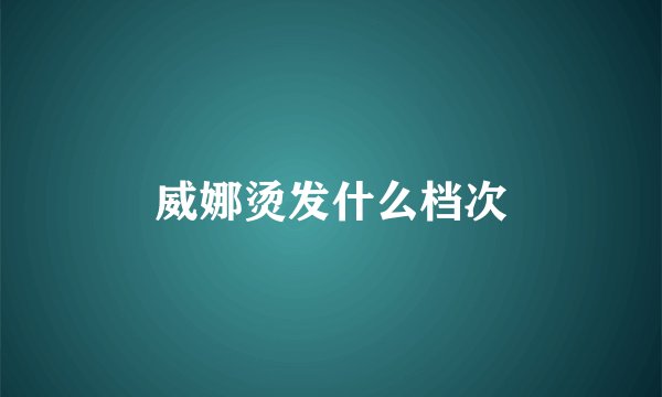 威娜烫发什么档次