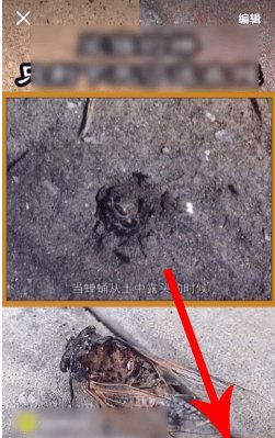 快手年度影集如何制作？