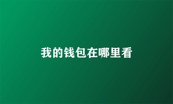 我的钱包在哪里看