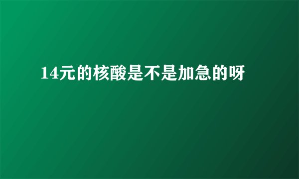 14元的核酸是不是加急的呀