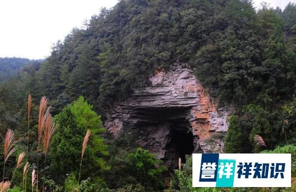 民间故事：男子随鬼友入山，狐仙洞享尽欢乐，醒来才知被卖了