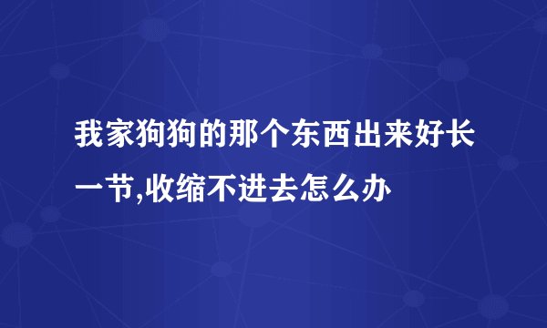 我家狗狗的那个东西出来好长一节,收缩不进去怎么办