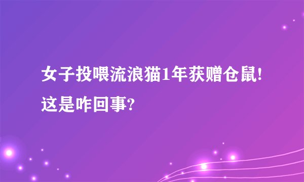 女子投喂流浪猫1年获赠仓鼠!这是咋回事?