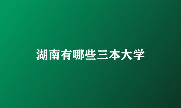 湖南有哪些三本大学