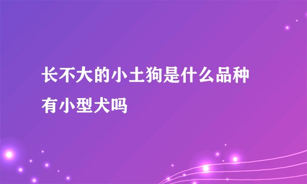 长不大的小土狗是什么品种 有小型犬吗