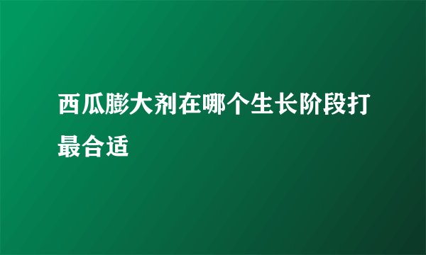 西瓜膨大剂在哪个生长阶段打最合适
