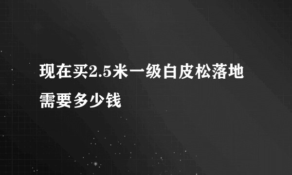 现在买2.5米一级白皮松落地需要多少钱