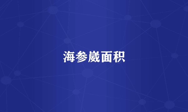 海参崴面积