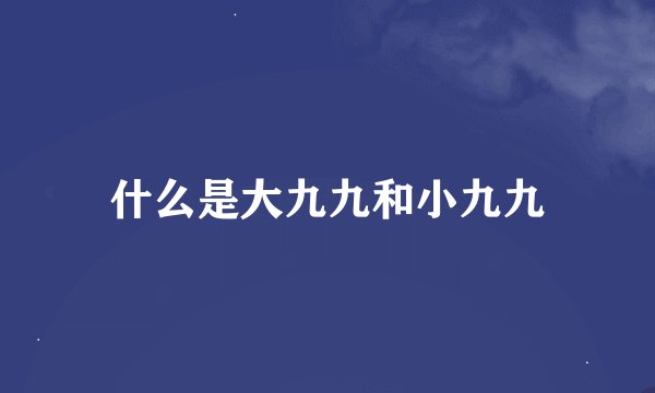 什么是大九九和小九九