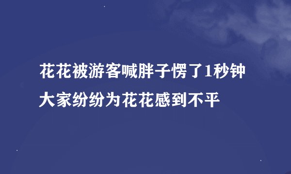 花花被游客喊胖子愣了1秒钟大家纷纷为花花感到不平