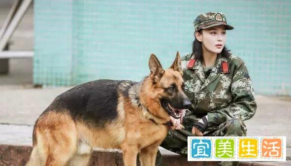 张馨予产后首次复出拍戏，为饰演军人剪掉长发，被喊军嫂英姿飒爽