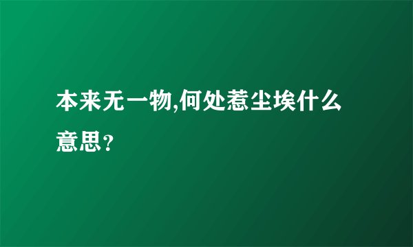 本来无一物,何处惹尘埃什么意思？