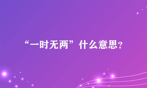 “一时无两”什么意思？