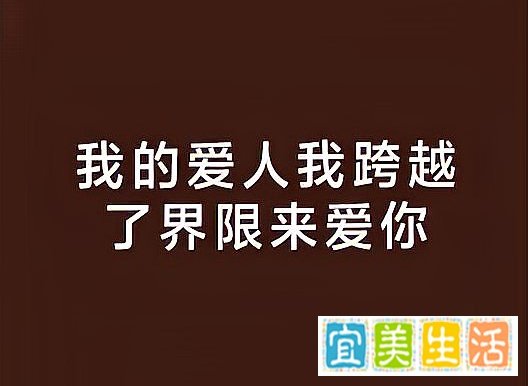 致敬我的爱人结局是什么