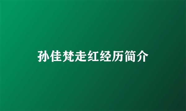 孙佳梵走红经历简介
