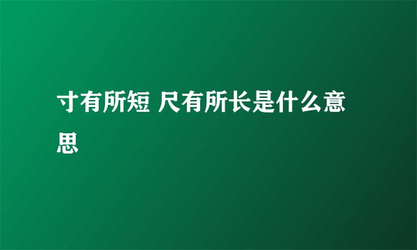 寸有所短 尺有所长是什么意思