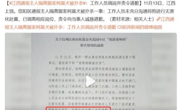 这种“草率”,我不愿再看到第二次