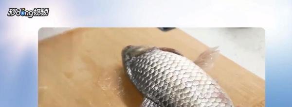 新手怎么杀鱼?