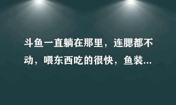 斗鱼一直躺在那里，连腮都不动，喂东西吃的很快，鱼装死怎么办？