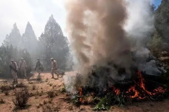 在劫难逃!墨西哥毒枭“教父”落网,他是如何落网的?