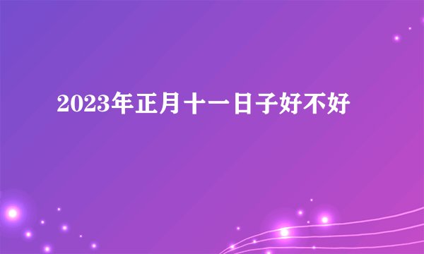 2023年正月十一日子好不好