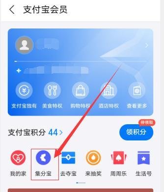支付宝，怎么签到领取集分宝？
