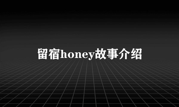留宿honey故事介绍