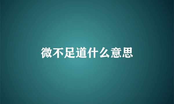 微不足道什么意思