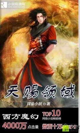 天赐领域的小说简介