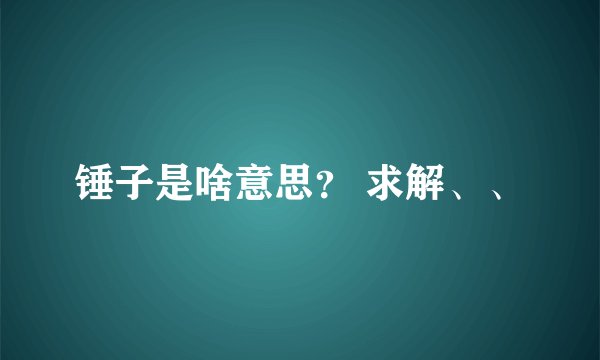 锤子是啥意思? 求解、、