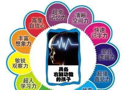 宝宝儿童早教系列学之源右脑开发宝典8DVD+右脑开发音乐2CD
