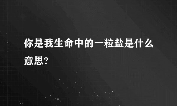 你是我生命中的一粒盐是什么意思?