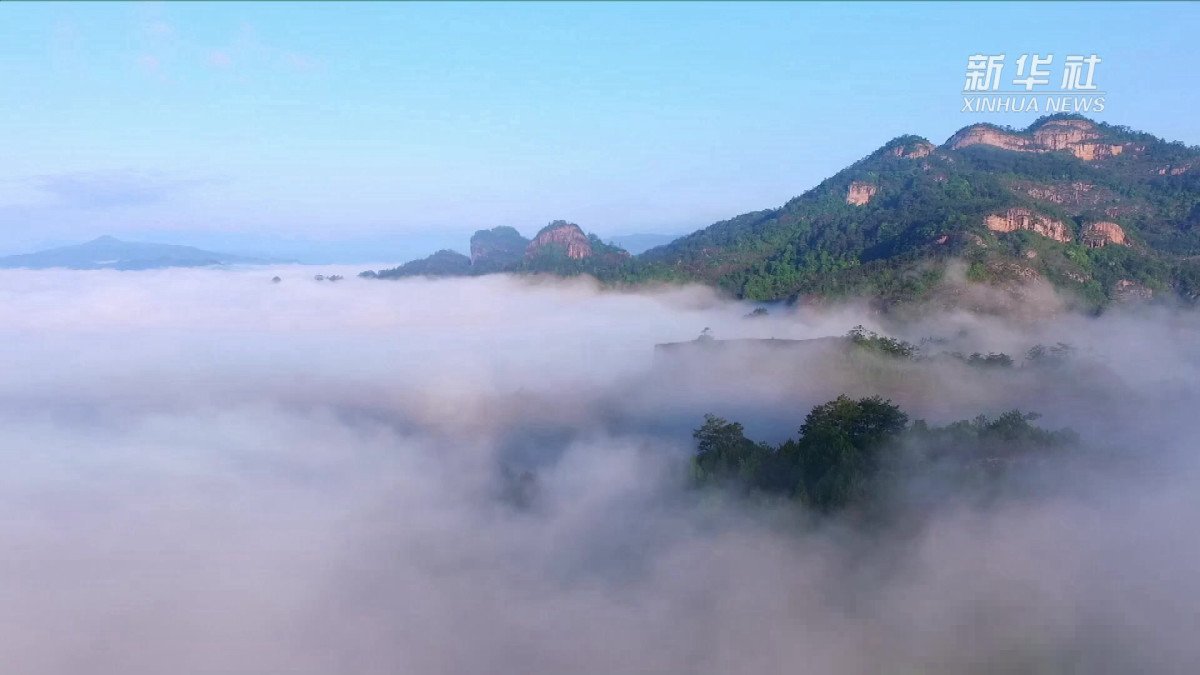 武夷山门票多少钱一张