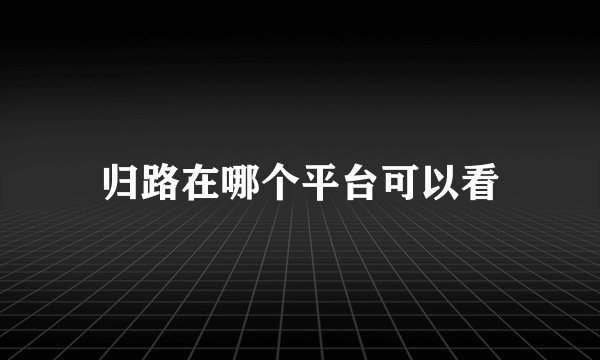 归路在哪个平台可以看