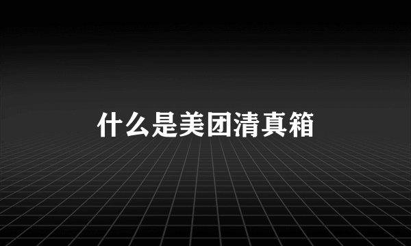 什么是美团清真箱