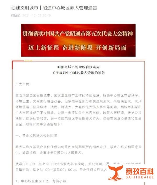 遛狗仅限凌晨，还要给狗戴口罩？云南昭通回应“最严限狗令”