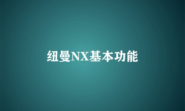 纽曼NX基本功能