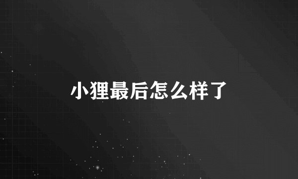 小狸最后怎么样了