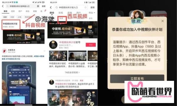 新手加入中视频伙伴计划,一天收益800+,完整攻略给大家!