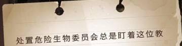 哈利波特魔法觉醒危险生物委员会盯着这位教授